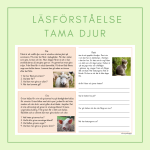 Läsförståelse tama djur - bild 1