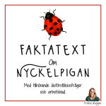 Faktatext om Nyckelpigan - bild 1