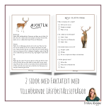 Faktatext om Hjorten - bild 2