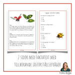 Faktatext om Nyckelpigan - bild 2