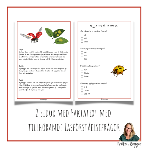 Faktatext om Nyckelpigan