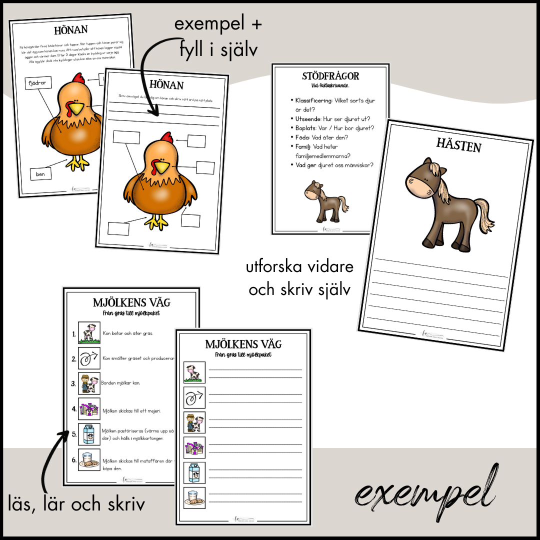 BONDGÅRDEN PAKET: Arbetshäfte, ordkort, målarbilder, hör vi ihop, TAKK mm.