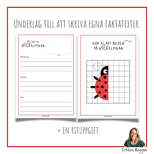 Faktatext om Nyckelpigan