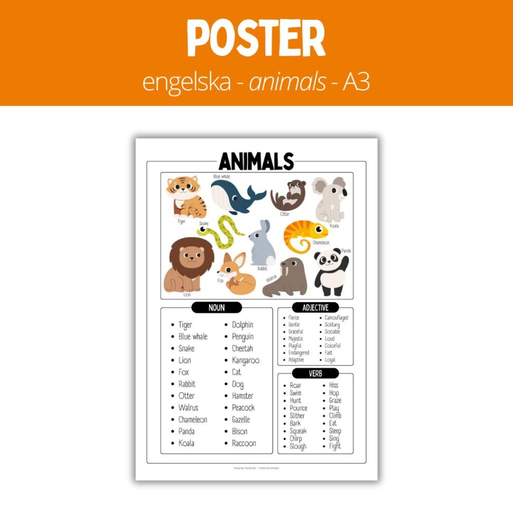 Poster – engelska – animals – A3