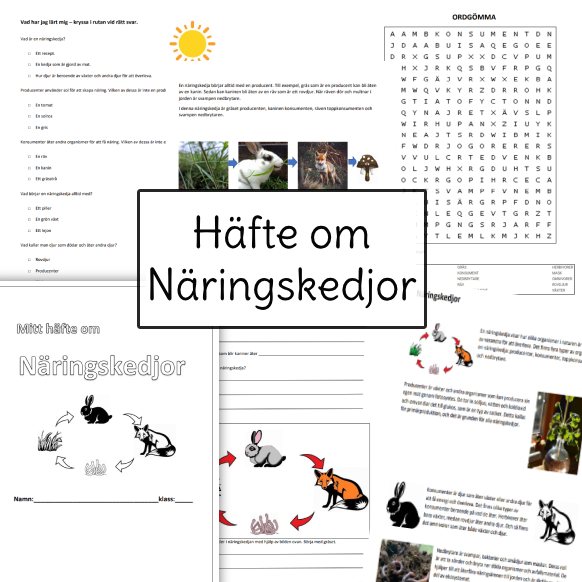 Ett häfte om näringskedjor