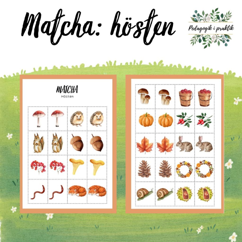 Matcha: hösten