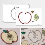 Äpplets delar – materialpaket - bild 4