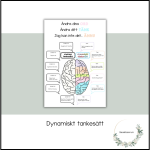 Dynamiskt tankesätt - bild 1