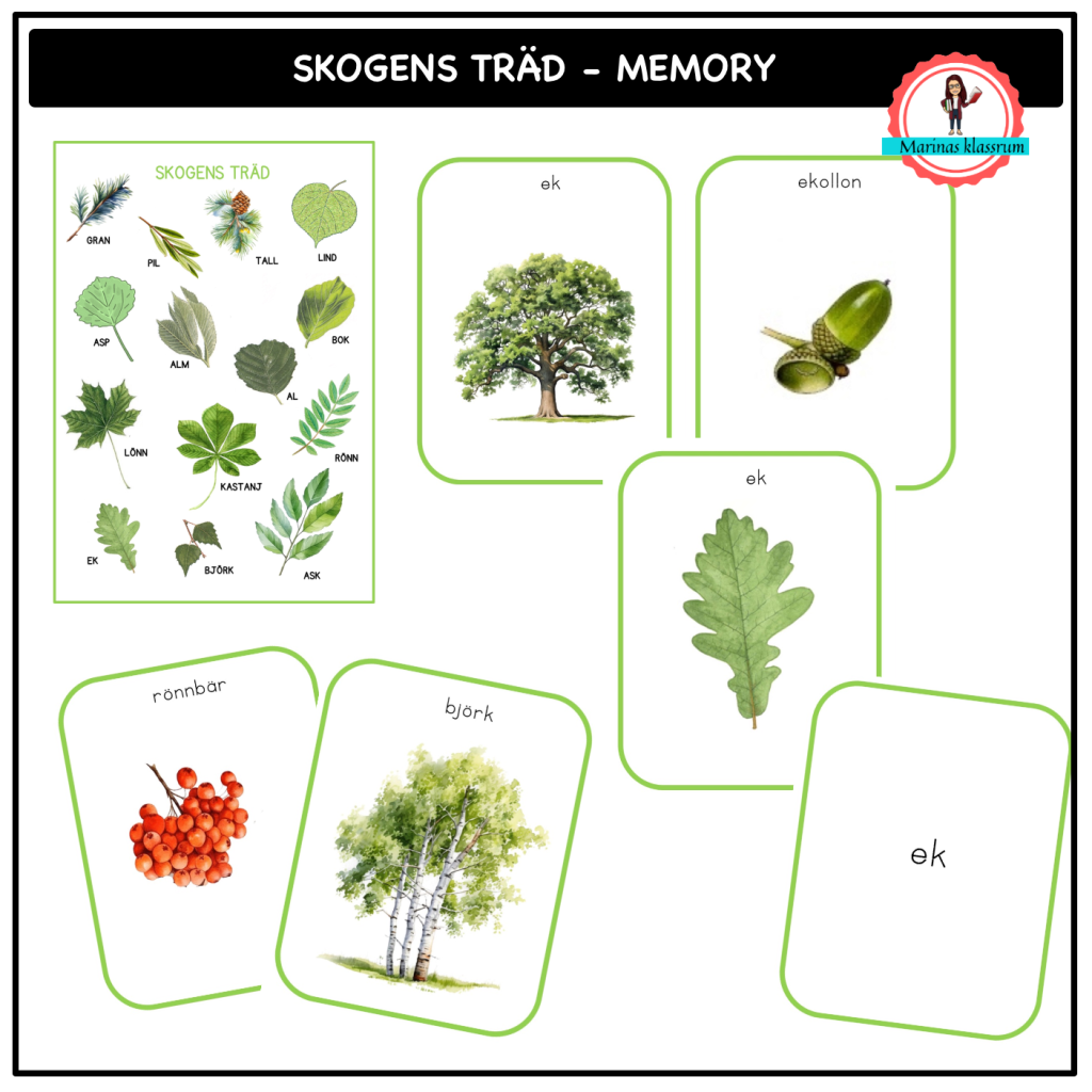 Skogens träd – memory – finns i sjön