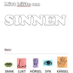 Mitt häfte om sinnen