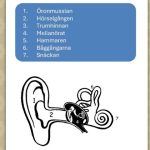 Mitt häfte om sinnen - bild 10