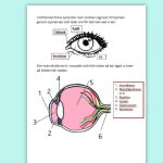 Mitt häfte om sinnen - bild 3