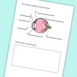 Mitt häfte om sinnen - bild 4