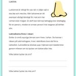 Mitt häfte om sinnen - bild 5