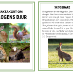 Faktakort om skogens djur - bild 2
