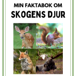 Faktabok skogens djur - bild 2