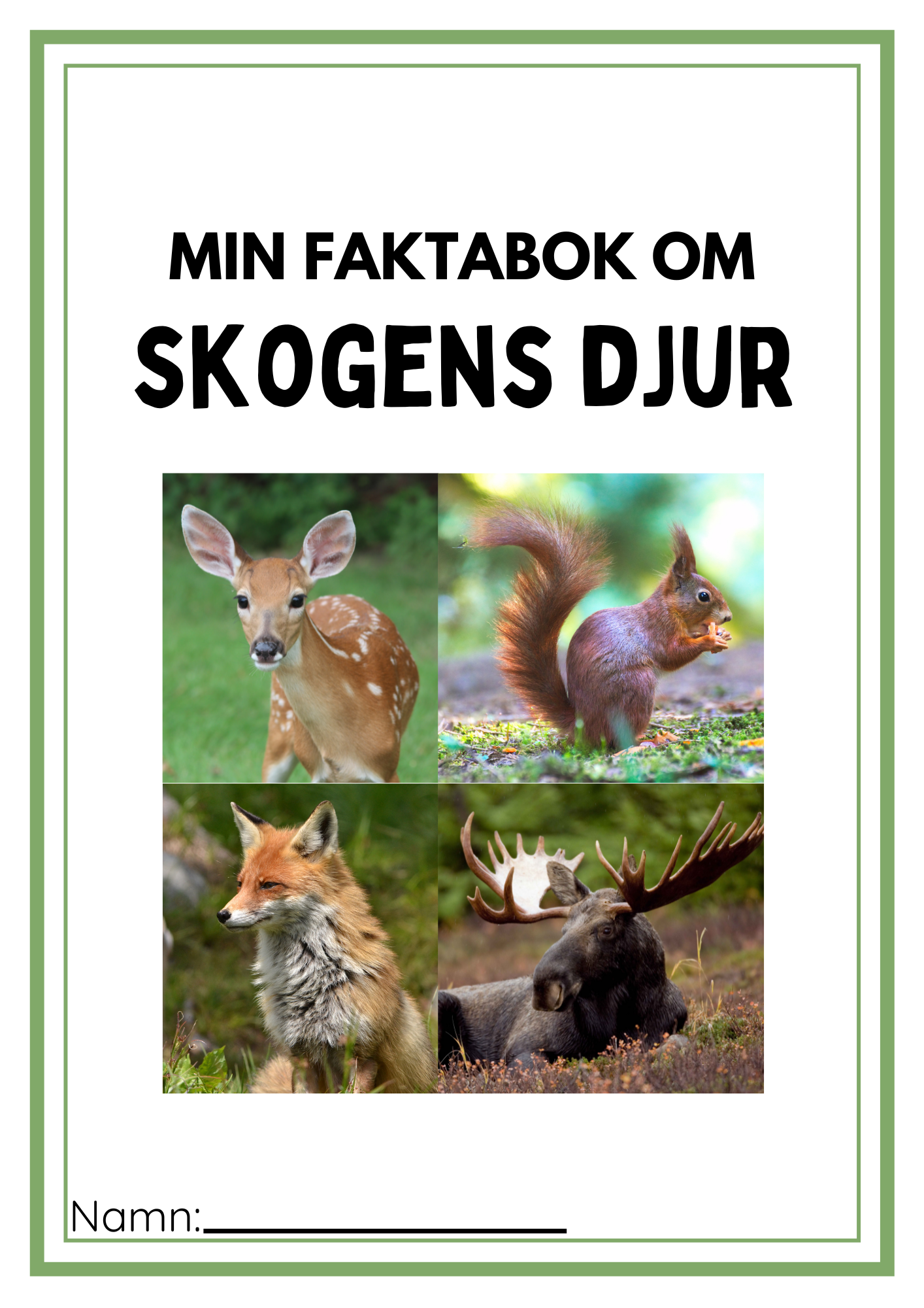 Faktabok skogens djur
