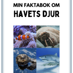 Faktabok havets djur - bild 2