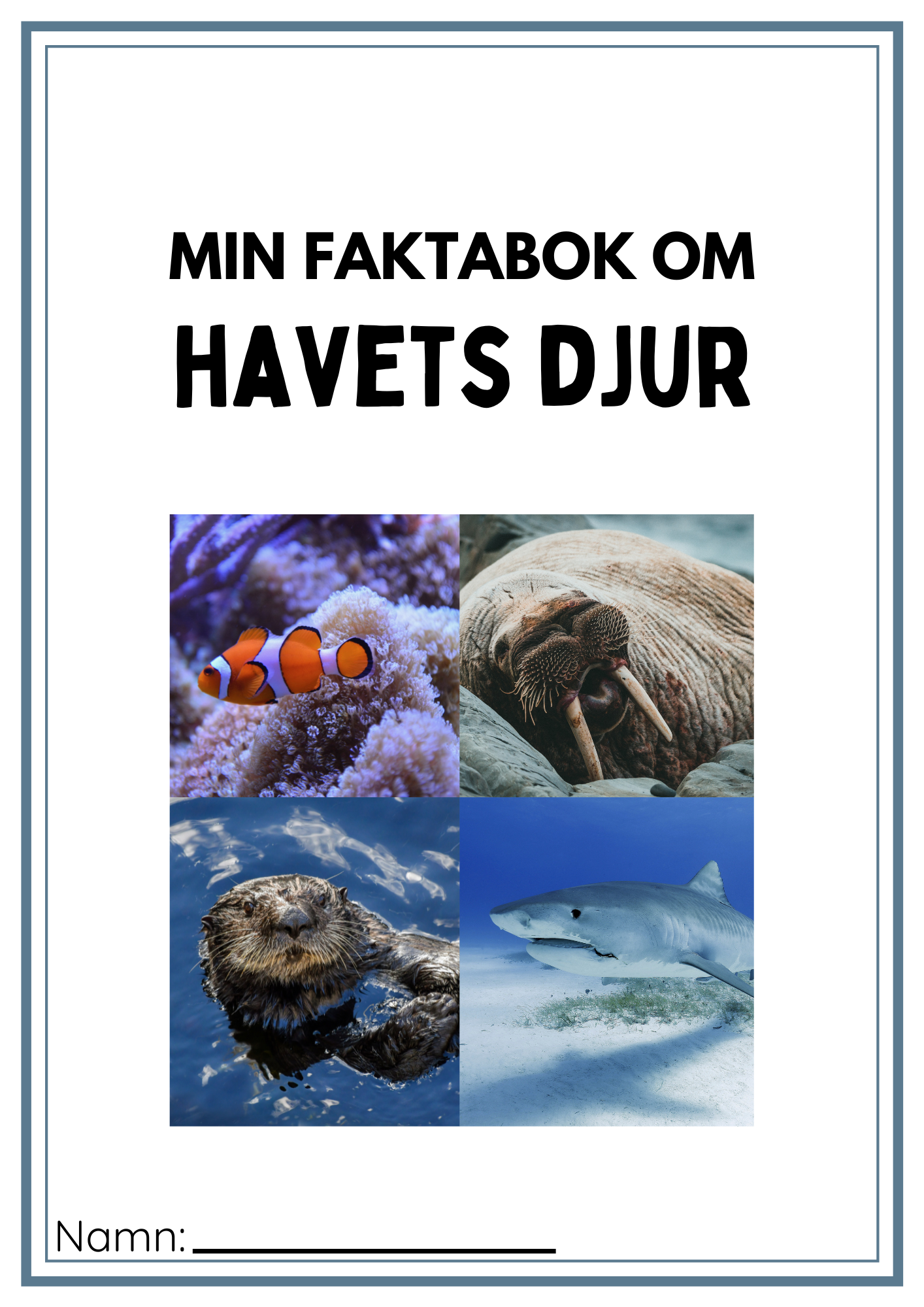 Faktabok havets djur