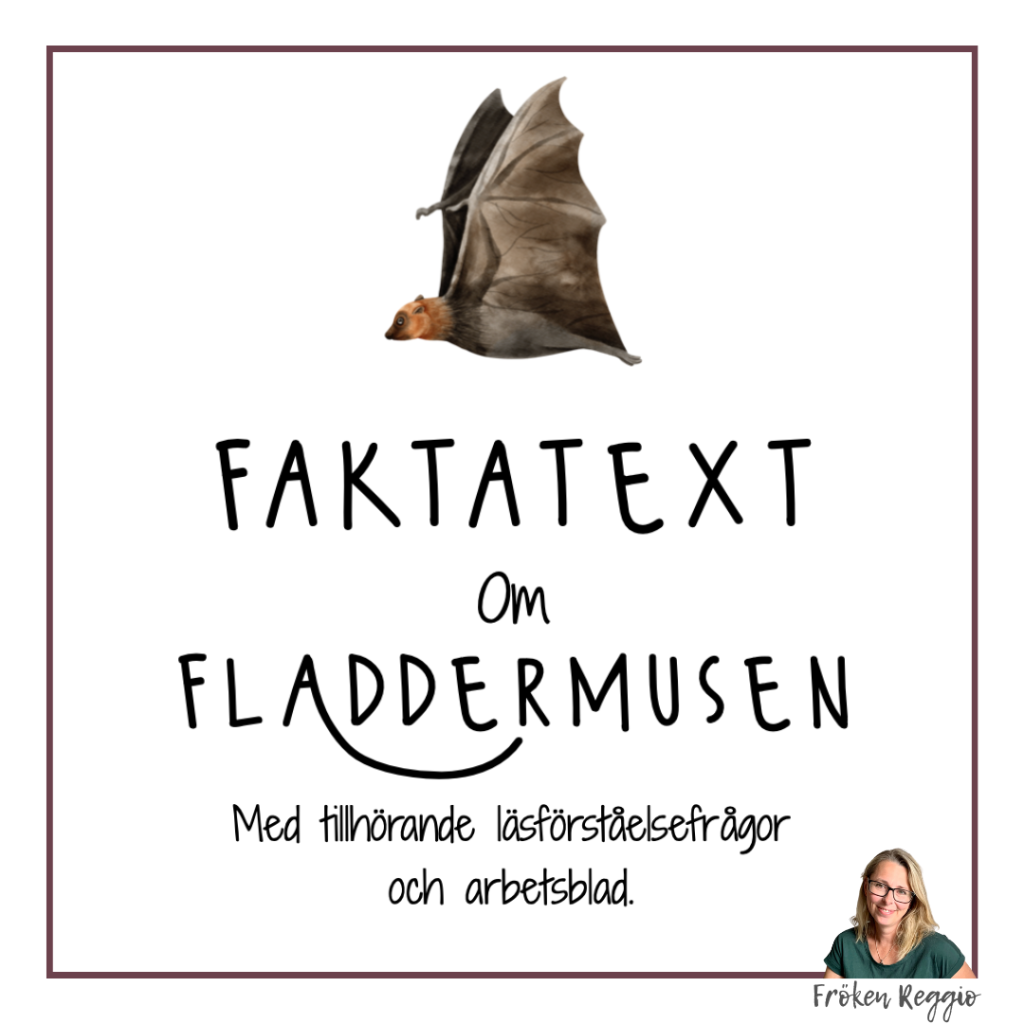 Faktatext om Fladdermusen