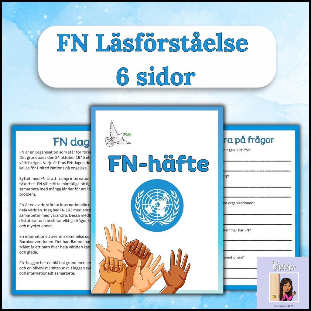 FN Läsförståelse