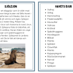 Faktakort om havets djur - bild 4