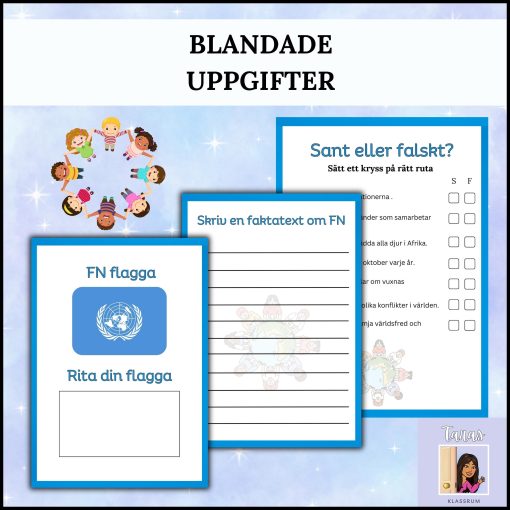 FN Läsförståelse