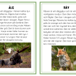 Faktakort om skogens djur - bild 3