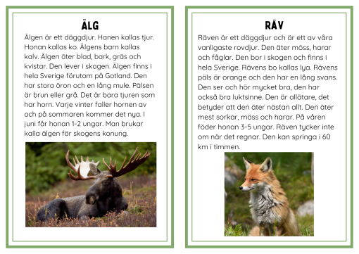 Faktakort om skogens djur