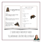 Faktatext om Fladdermusen - bild 2