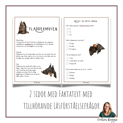 Faktatext om Fladdermusen