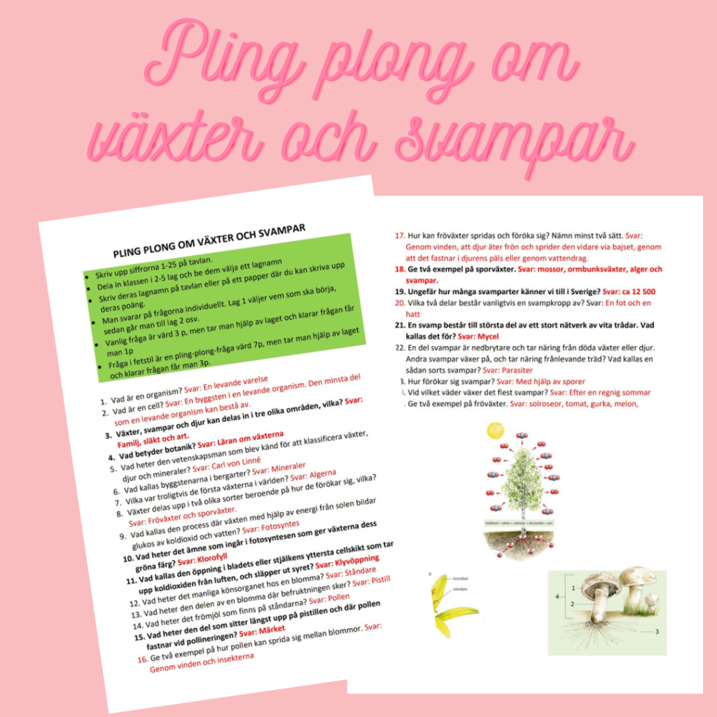 Pling plong om växter och svampar