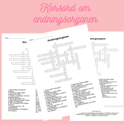 Korsord och ordsök om andningsorganen