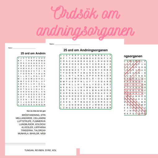 Korsord och ordsök om andningsorganen