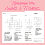 Korsord om ordsök om Skelett & Muskler - bild 1