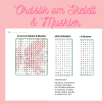 Korsord om ordsök om Skelett & Muskler - bild 2