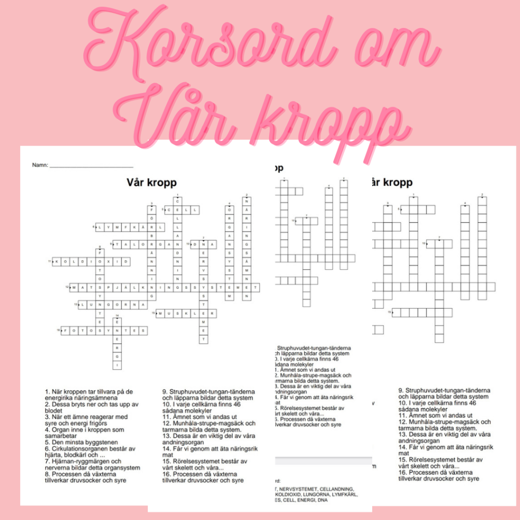 Korsord och ordsök om Vår kropp