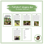 Faktakort om skogens djur - bild 1