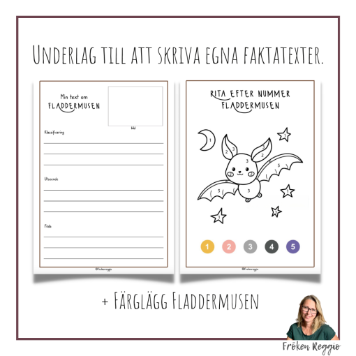Faktatext om Fladdermusen
