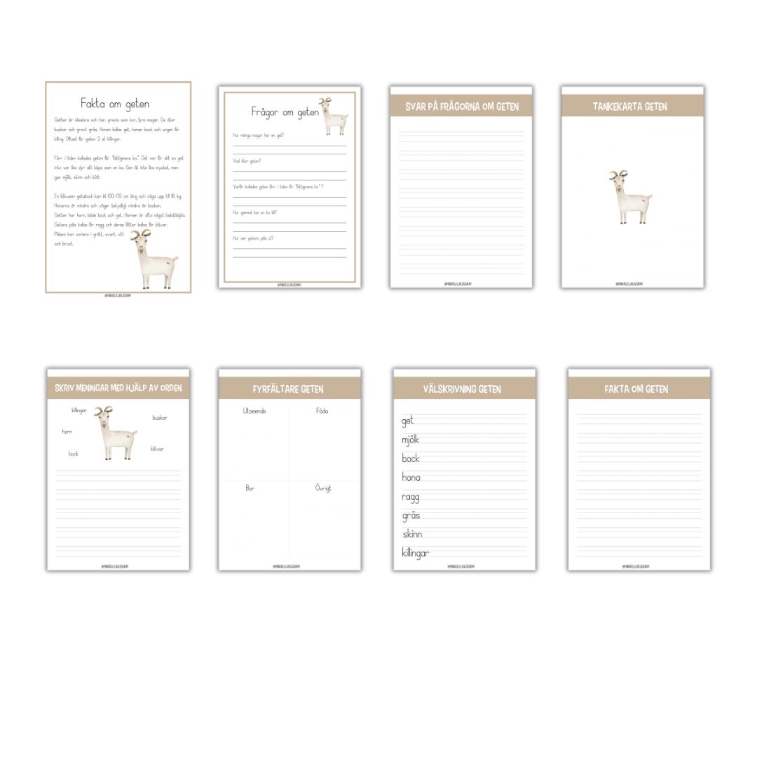 Bongårdsdjur - 40 sidor