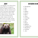Faktakort om skogens djur - bild 4