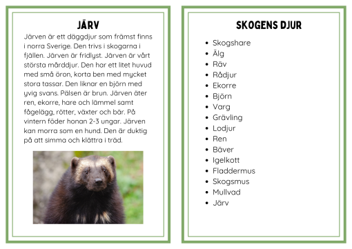 Faktakort om skogens djur