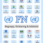 FN – begrepp, förklaringar, bildstöd & facit - bild 1