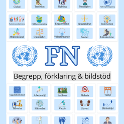 FN - begrepp, förklaringar, bildstöd & facit