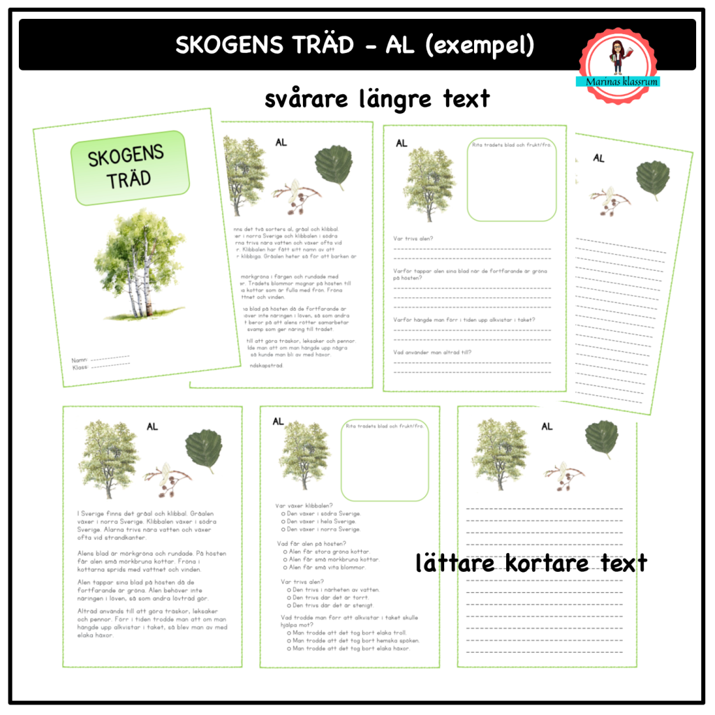 Skogens träd – al (ett exempel)