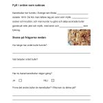 Häfte – Kanelbullens Dag - bild 3