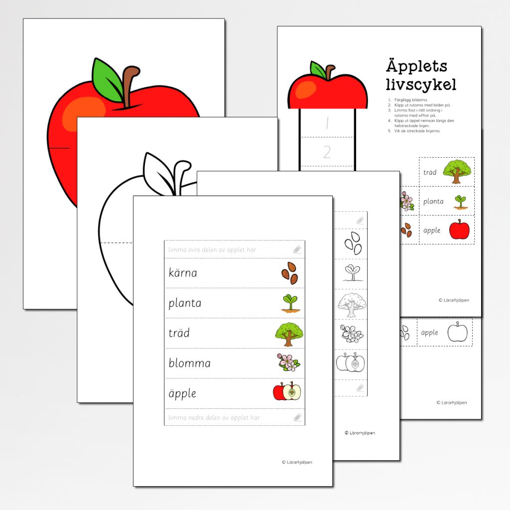 Äpplets livscykel – materialpaket