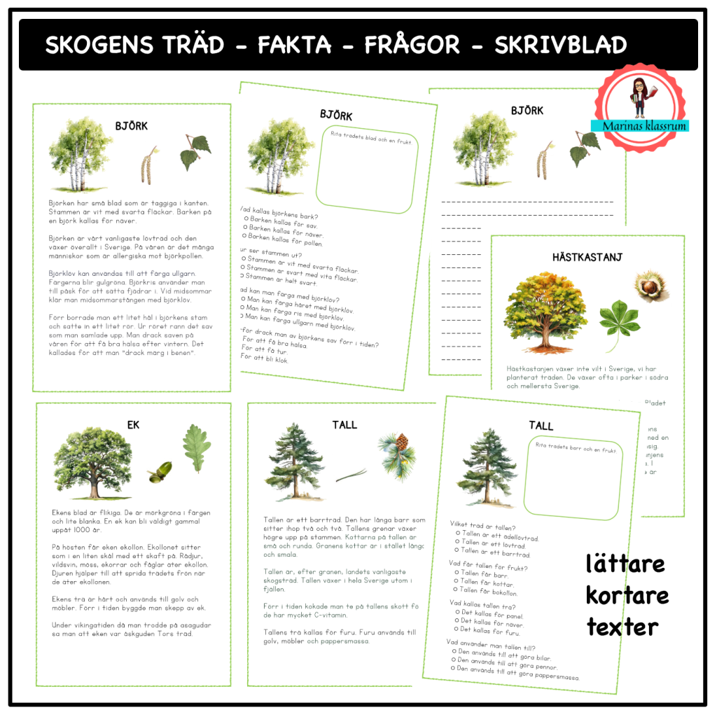 Skogens träd – lättare fakta – frågor – skrivblad