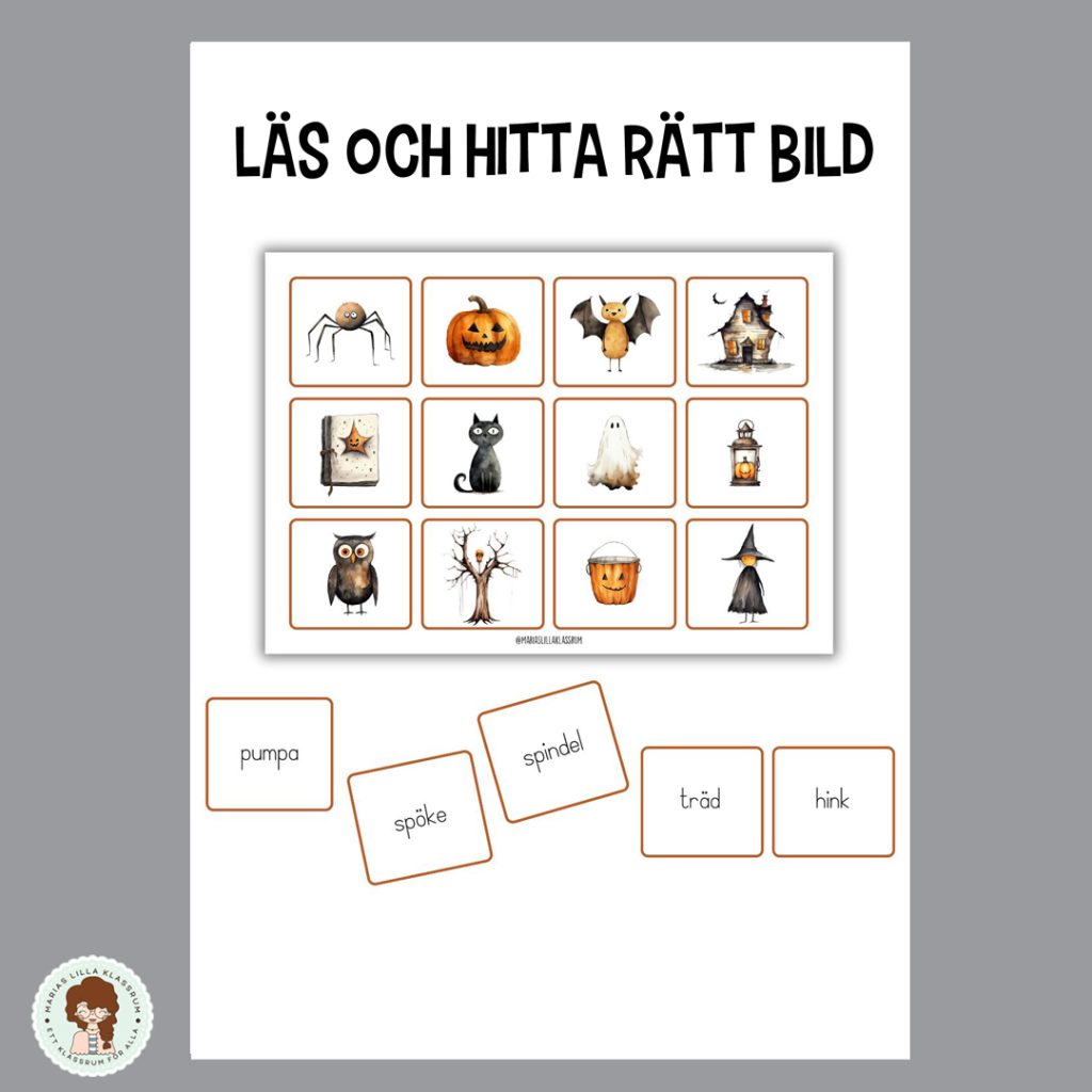 Läs och hitta rätt bild + memory