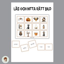 Läs och hitta rätt bild + memory